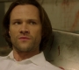 SPN_1372.jpg