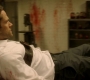 SPN_1411.jpg