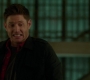 SPN_0474.jpg