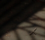 SPN_0643.jpg