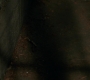 SPN_0645.jpg