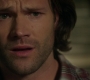 SPN_1629.jpg