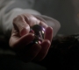 Filename=SPN_0389.jpg
Filesize=35KiB
Dimensions=1280x718
Date added=Sep 30, 2021 SPN_0389.jpg