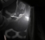 Filename=SPN_0610.jpg
Filesize=39KiB
Dimensions=1280x718
Date added=Sep 30, 2021 SPN_0610.jpg