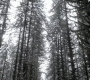 Filename=SPN_0812.jpg
Filesize=226KiB
Dimensions=1280x718
Date added=Sep 30, 2021 SPN_0812.jpg