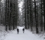 Filename=SPN_0813.jpg
Filesize=198KiB
Dimensions=1280x718
Date added=Sep 30, 2021 SPN_0813.jpg