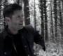 Filename=SPN_0830.jpg
Filesize=115KiB
Dimensions=1280x718
Date added=Sep 30, 2021 SPN_0830.jpg