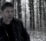 Filename=SPN_0832.jpg
Filesize=119KiB
Dimensions=1280x718
Date added=Sep 30, 2021 SPN_0832.jpg