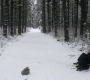 Filename=SPN_0849.jpg
Filesize=154KiB
Dimensions=1280x718
Date added=Sep 30, 2021 SPN_0849.jpg