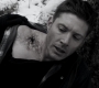 Filename=SPN_0861.jpg
Filesize=90KiB
Dimensions=1280x718
Date added=Sep 30, 2021 SPN_0861.jpg