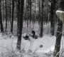 SPN_0899.jpg