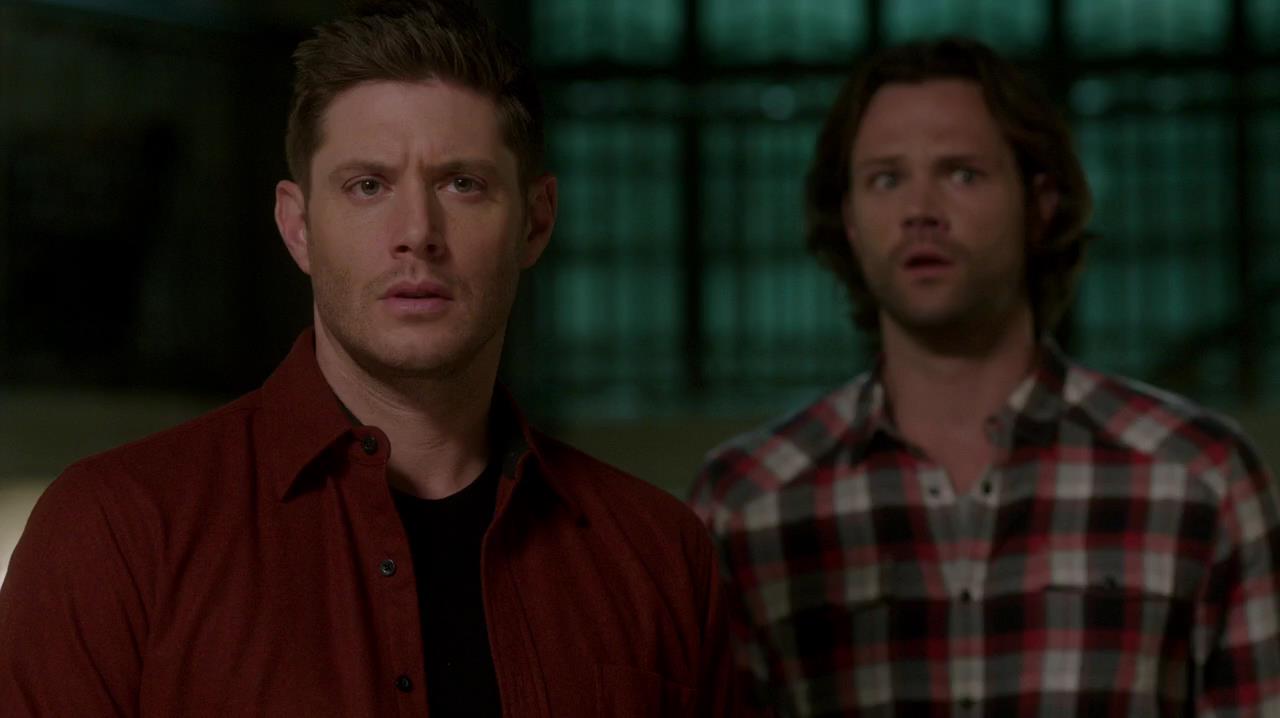 SPN_0409.jpg
