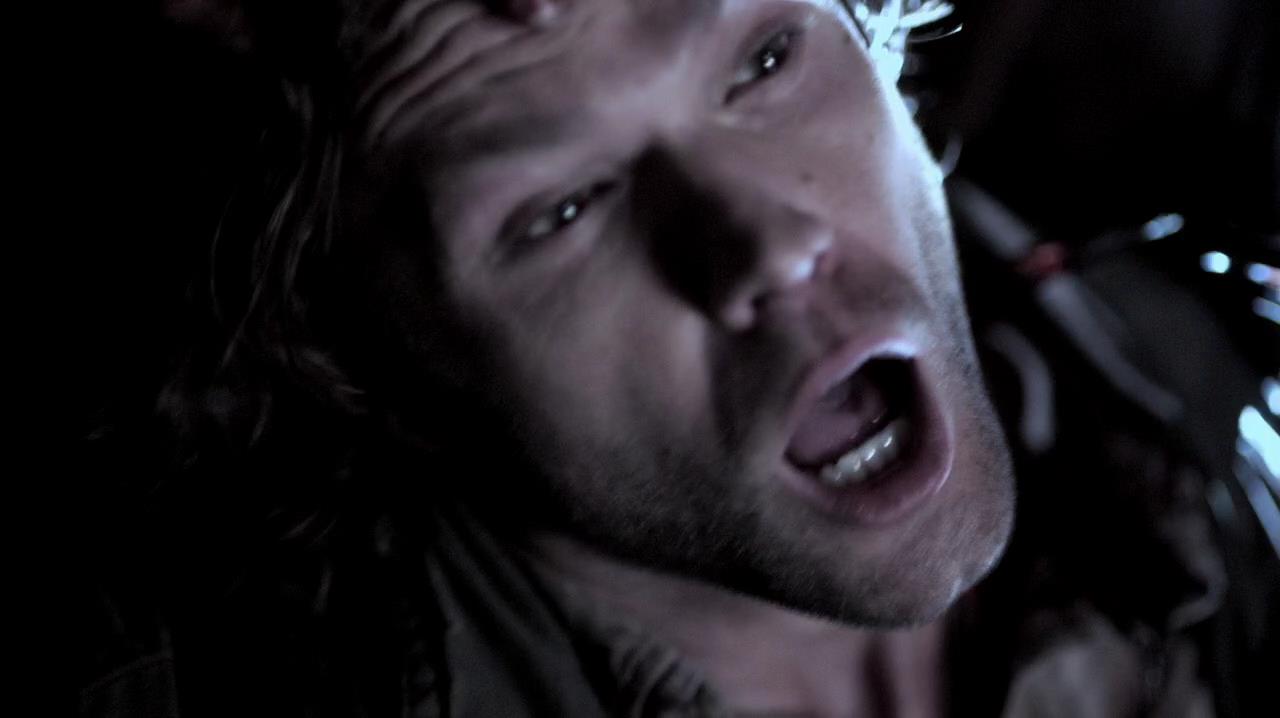 SPN_1462.jpg
