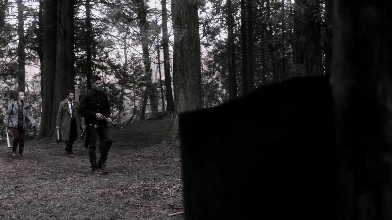 SPN_1489.jpg