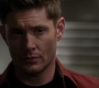Filename=SPN_0372.jpg
Filesize=44KiB
Dimensions=1280x718
Date added=Sep 30, 2021 SPN_0372.jpg