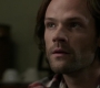 Filename=SPN_0391.jpg
Filesize=41KiB
Dimensions=1280x718
Date added=Sep 30, 2021 SPN_0391.jpg