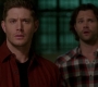 Filename=SPN_0410.jpg
Filesize=51KiB
Dimensions=1280x718
Date added=Sep 30, 2021 SPN_0410.jpg