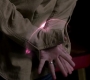 Filename=SPN_0562.jpg
Filesize=44KiB
Dimensions=1280x718
Date added=Sep 30, 2021 SPN_0562.jpg