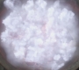 Filename=SPN_0639.jpg
Filesize=44KiB
Dimensions=1280x718
Date added=Sep 30, 2021 SPN_0639.jpg