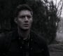 SPN_1446.jpg