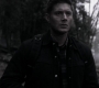SPN_1447.jpg