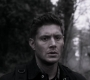 SPN_1453.jpg