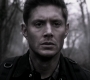 SPN_1458.jpg