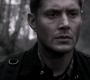 SPN_1463.jpg