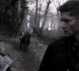 SPN_1466.jpg