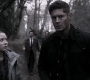 SPN_1469.jpg