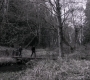 SPN_1474.jpg