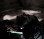 SPN_1486.jpg