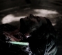 SPN_1487.jpg