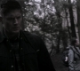 SPN_1503.jpg