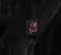 SPN_1520.jpg