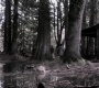 Filename=SPN_1754.jpg
Filesize=146KiB
Dimensions=1280x718
Date added=Sep 30, 2021 SPN_1754.jpg