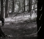 Filename=SPN_1757.jpg
Filesize=157KiB
Dimensions=1280x718
Date added=Sep 30, 2021 SPN_1757.jpg