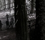 Filename=SPN_1762.jpg
Filesize=130KiB
Dimensions=1280x718
Date added=Sep 30, 2021 SPN_1762.jpg