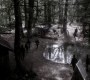 Filename=SPN_1766.jpg
Filesize=140KiB
Dimensions=1280x718
Date added=Sep 30, 2021 SPN_1766.jpg