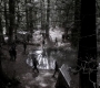Filename=SPN_1767.jpg
Filesize=156KiB
Dimensions=1280x718
Date added=Sep 30, 2021 SPN_1767.jpg