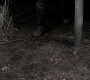 Filename=SPN_1815.jpg
Filesize=160KiB
Dimensions=1280x718
Date added=Sep 30, 2021 SPN_1815.jpg