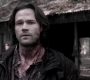 Filename=SPN_1839.jpg
Filesize=82KiB
Dimensions=1280x718
Date added=Sep 30, 2021 SPN_1839.jpg