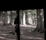 Filename=SPN_1842.jpg
Filesize=71KiB
Dimensions=1280x718
Date added=Sep 30, 2021 SPN_1842.jpg