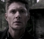 Filename=SPN_1845.jpg
Filesize=62KiB
Dimensions=1280x718
Date added=Sep 30, 2021 SPN_1845.jpg
