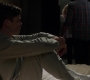 SPN_0644.jpg