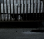 SPN_0718.jpg
