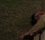SPN_1580.jpg