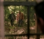 SPN_1607.jpg