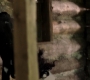 SPN_1715.jpg