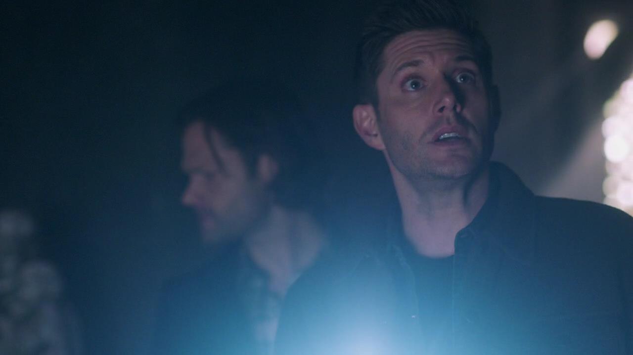 SPN_0296.jpg
